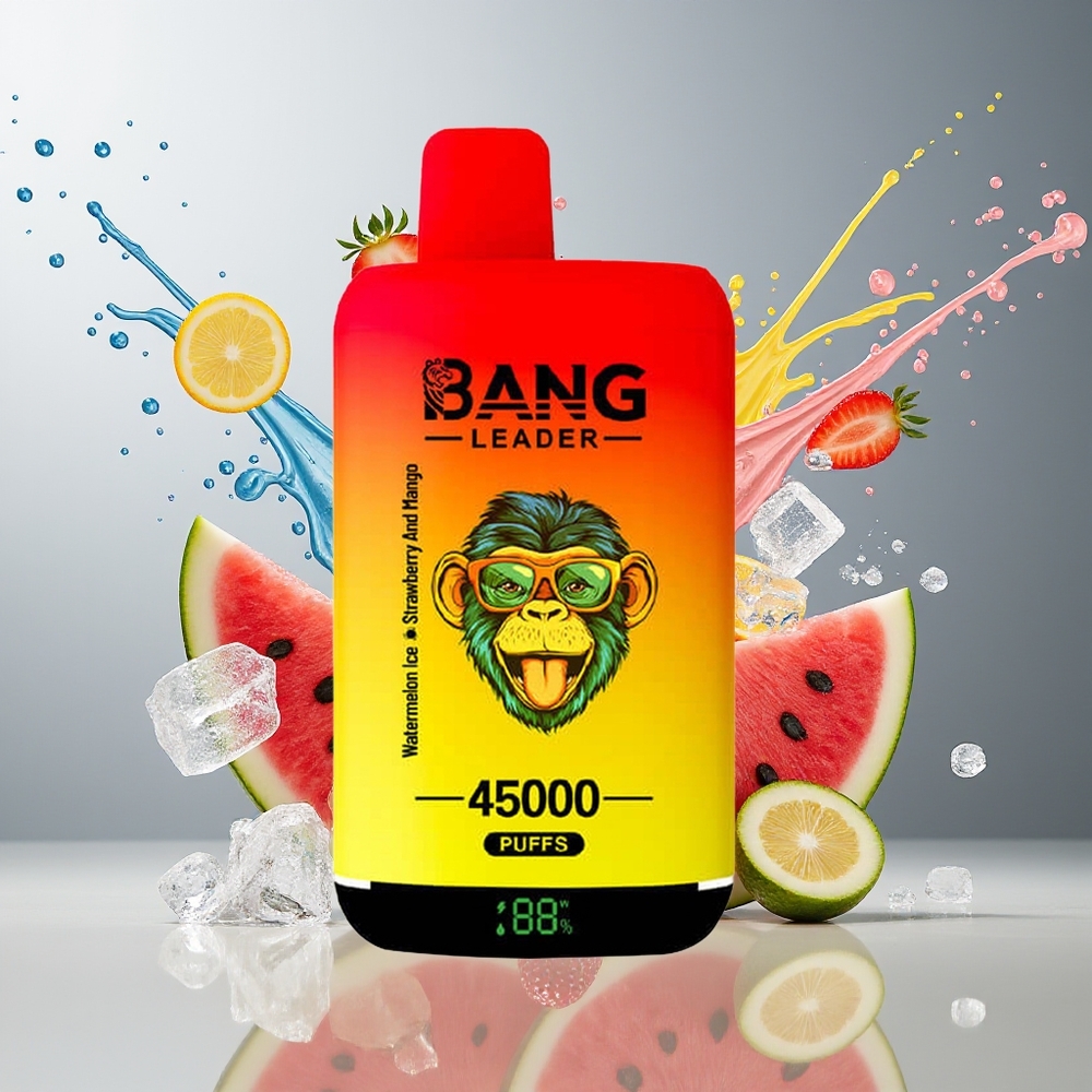 Finland tukku Bang Leader 45000 Puffs Älykäs Näyttö & Kaksoismaku 2-in-1 Design